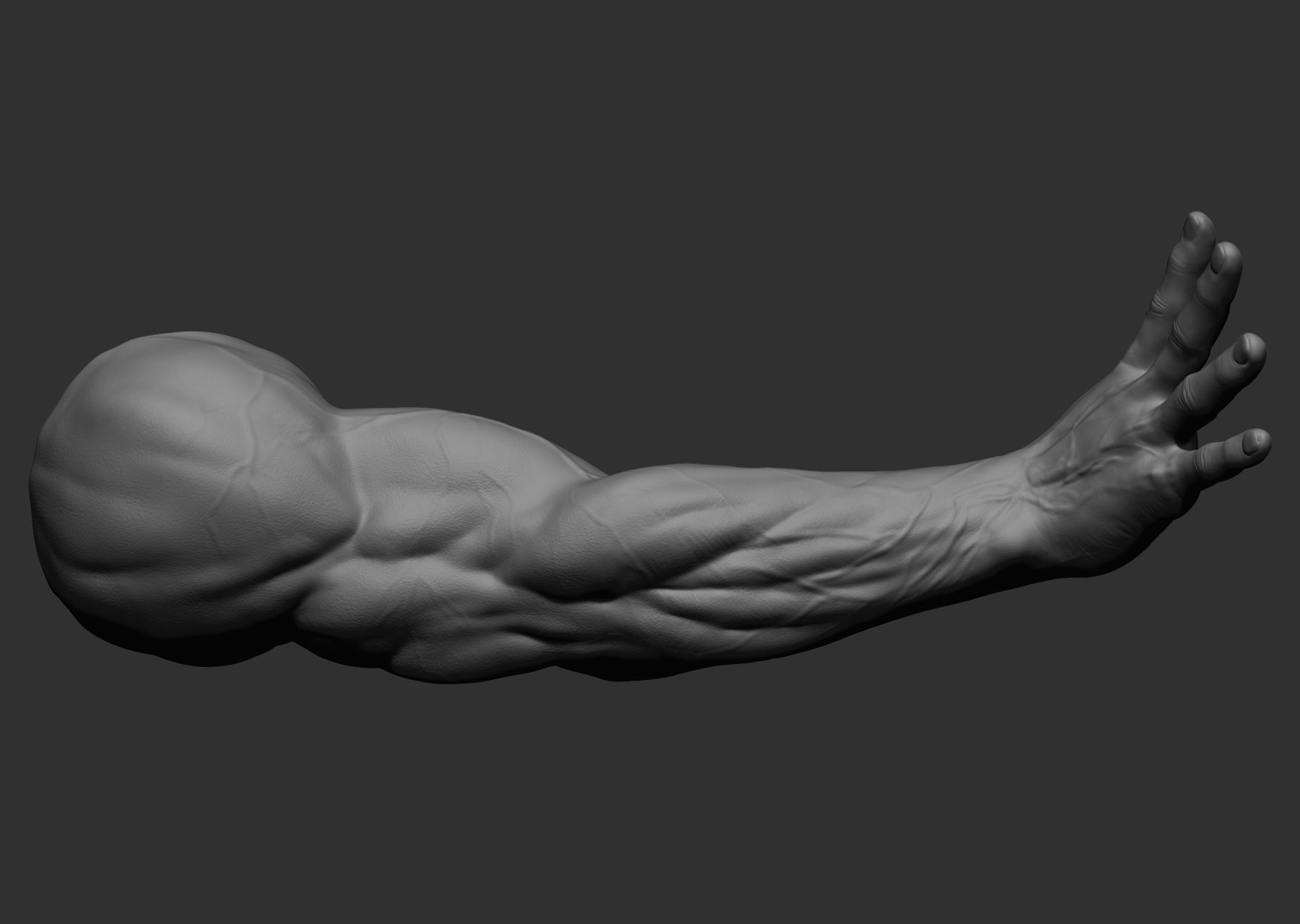 12 male arms 3D model_78