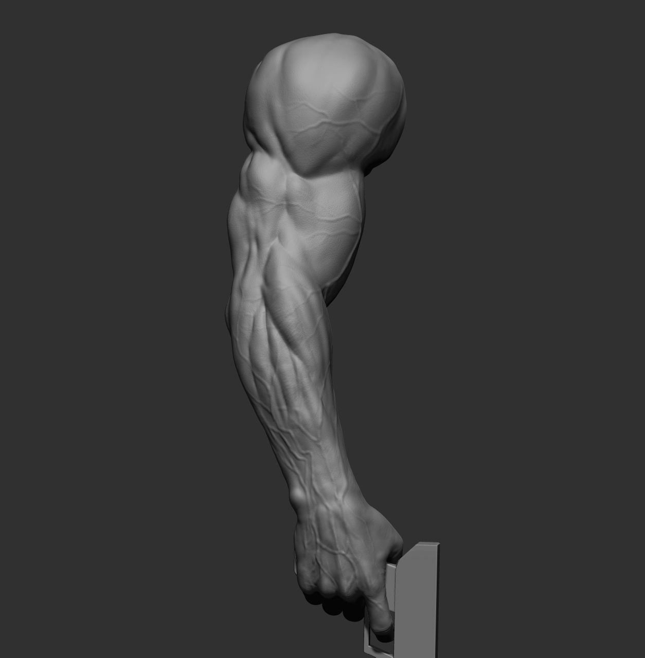 12 male arms 3D model_20