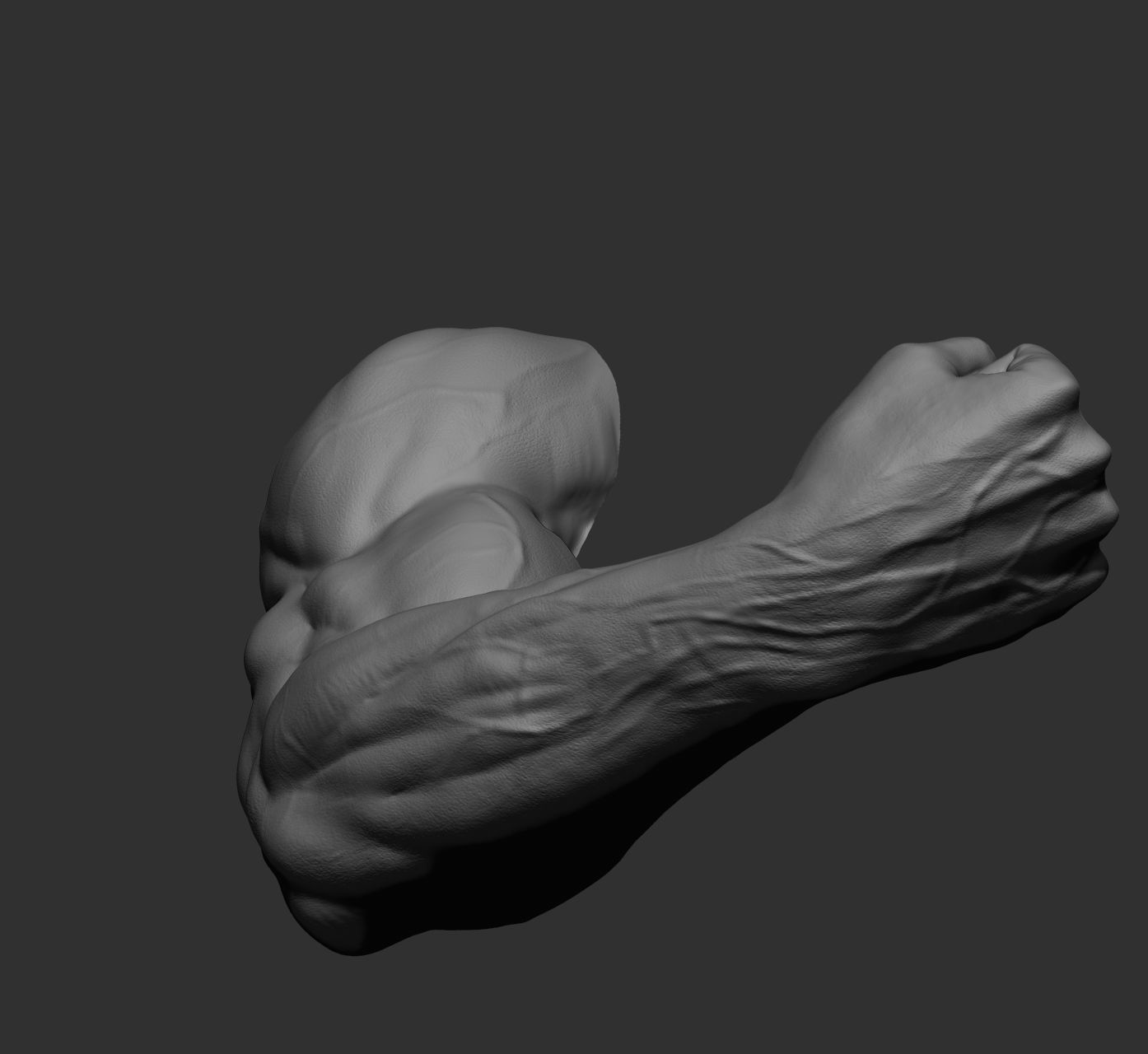 12 male arms 3D model_51