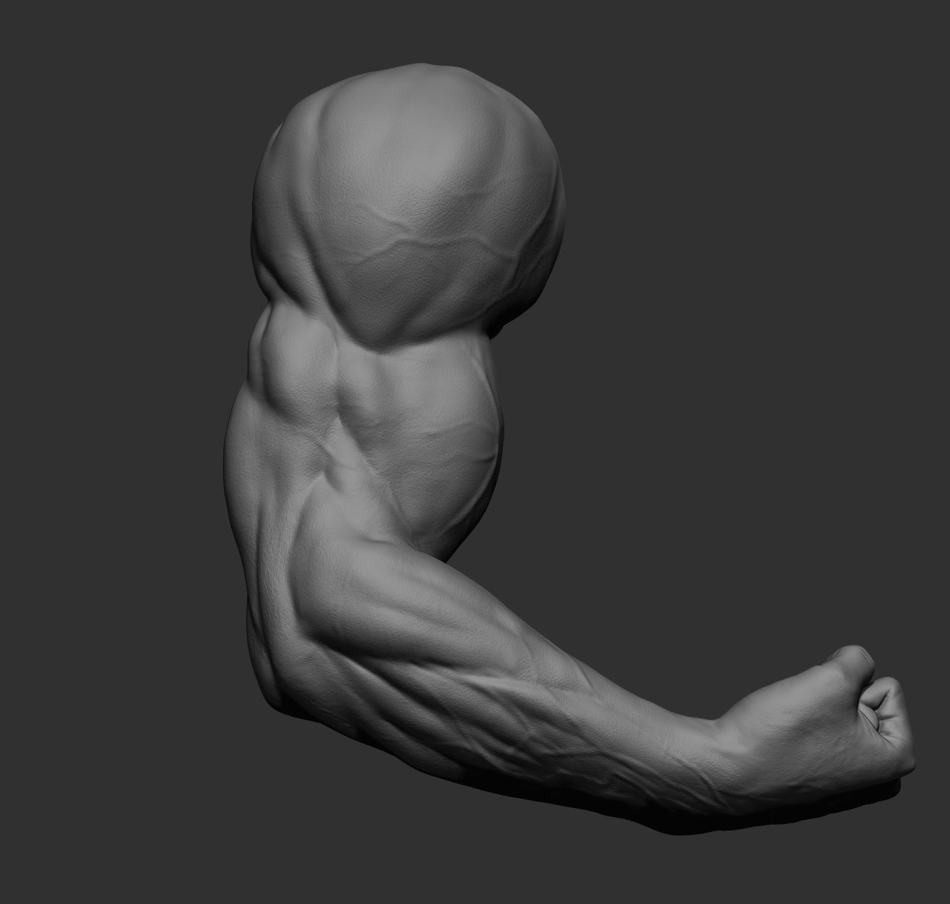 12 male arms 3D model_46