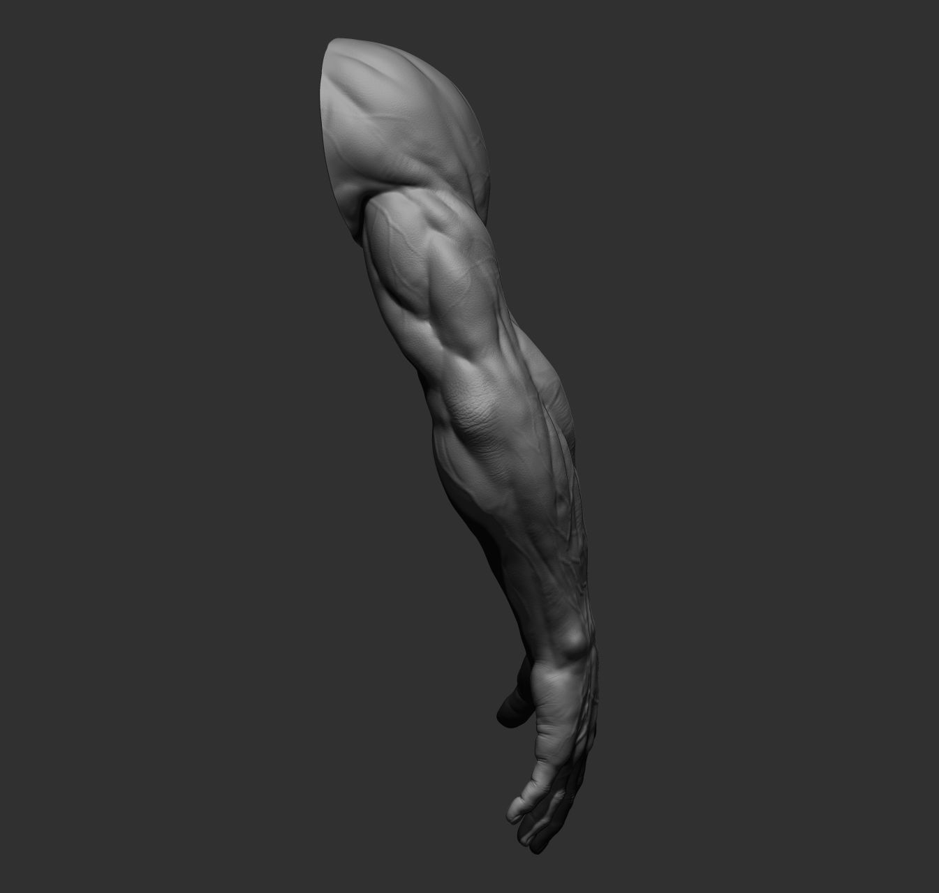 12 male arms 3D model_35