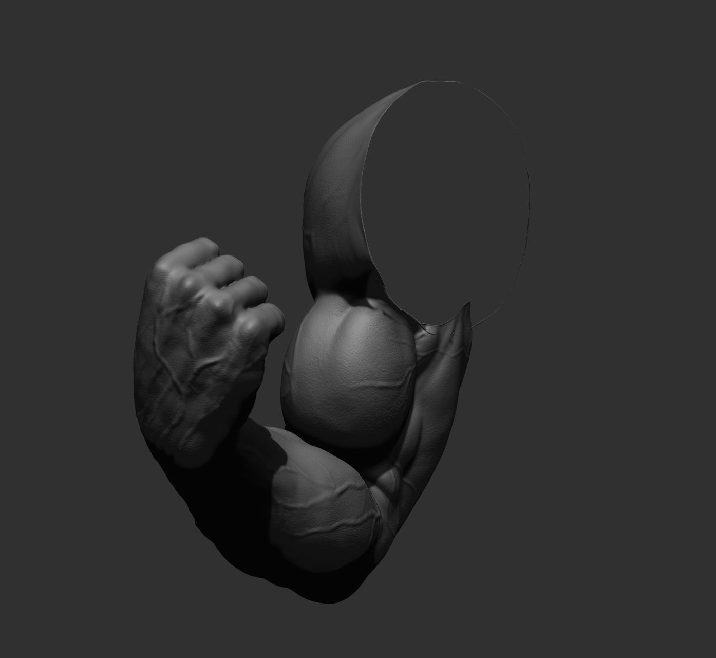 12 male arms 3D model_54