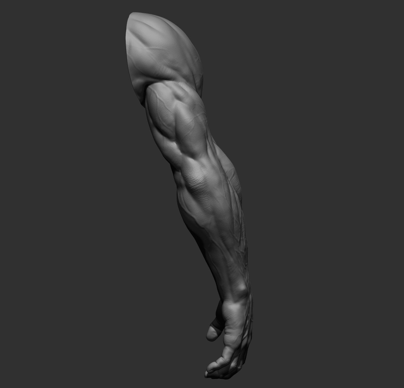 12 male arms 3D model_31