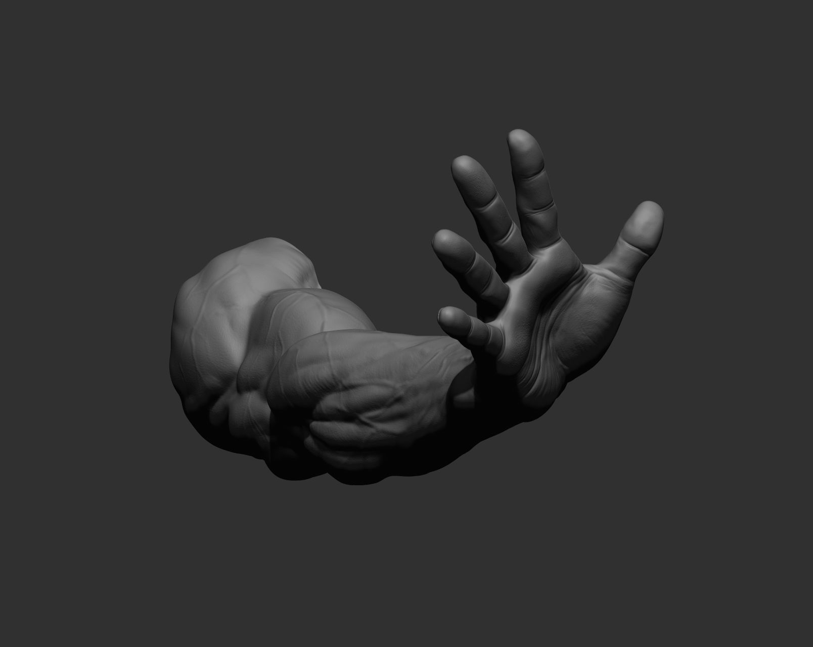 12 male arms 3D model_79