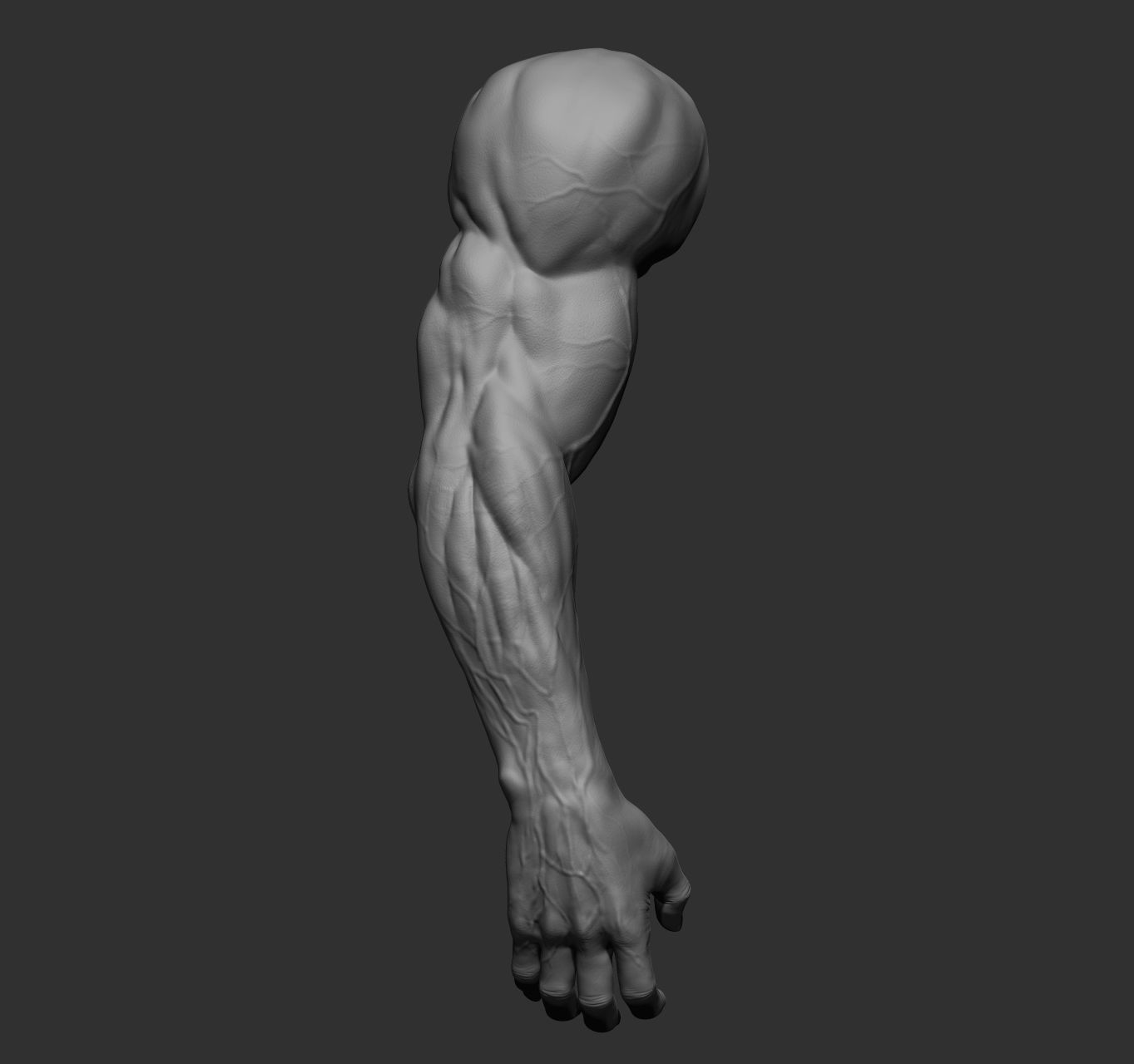 12 male arms 3D model_27