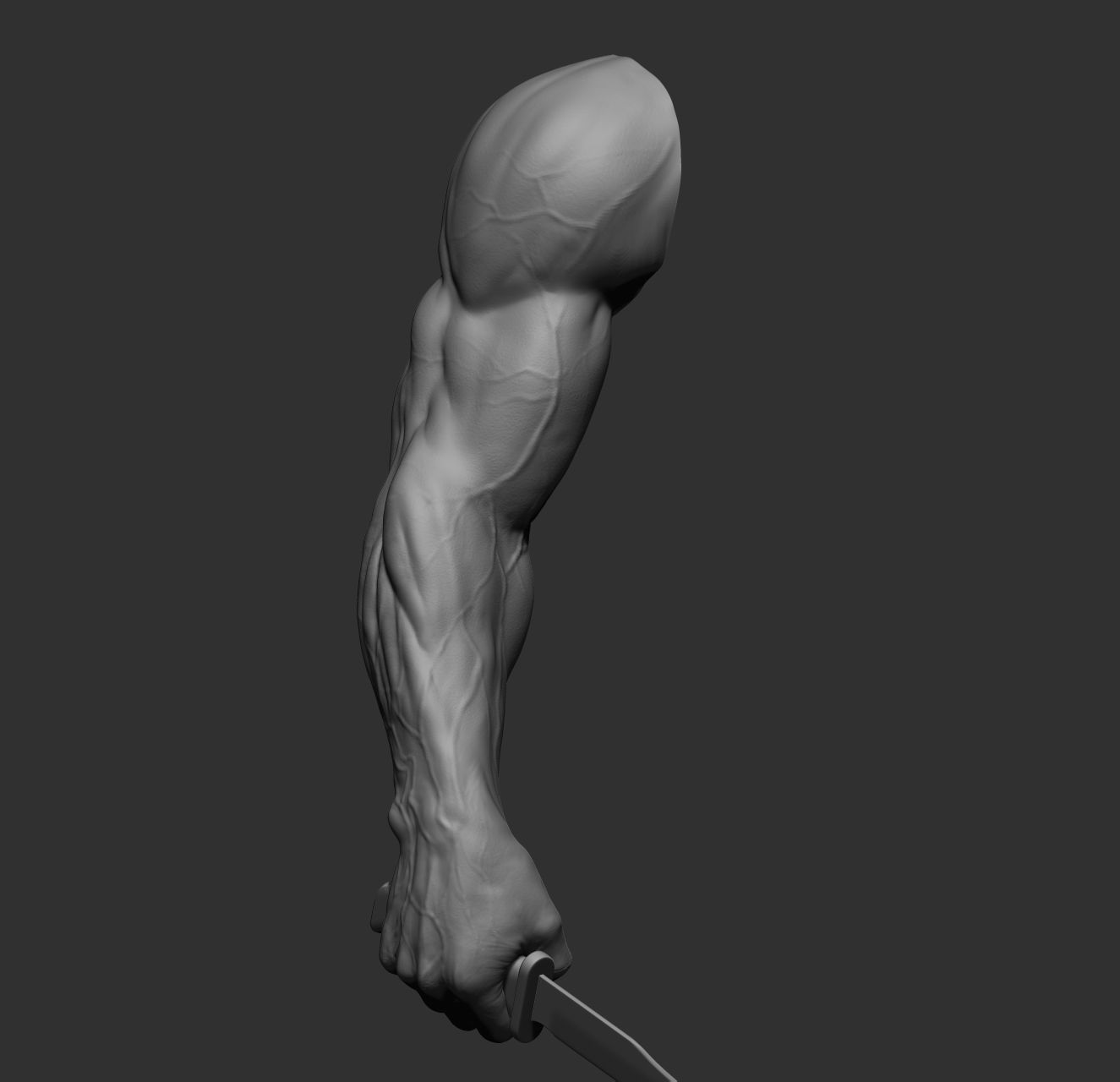 12 male arms 3D model_16