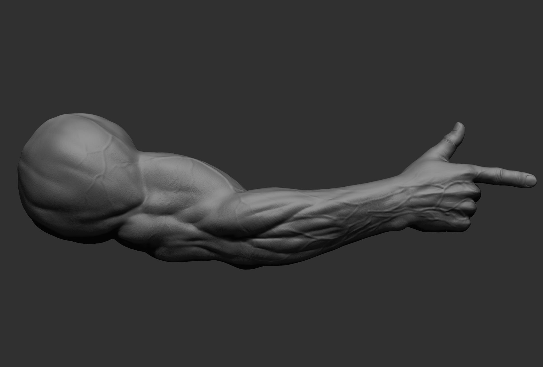 12 male arms 3D model_68