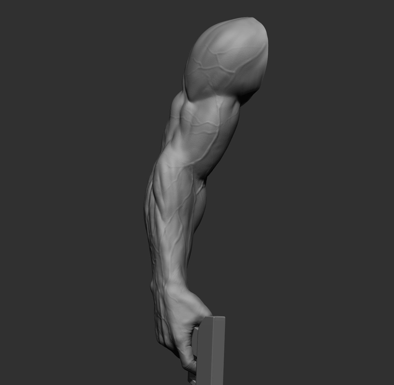 12 male arms 3D model_21