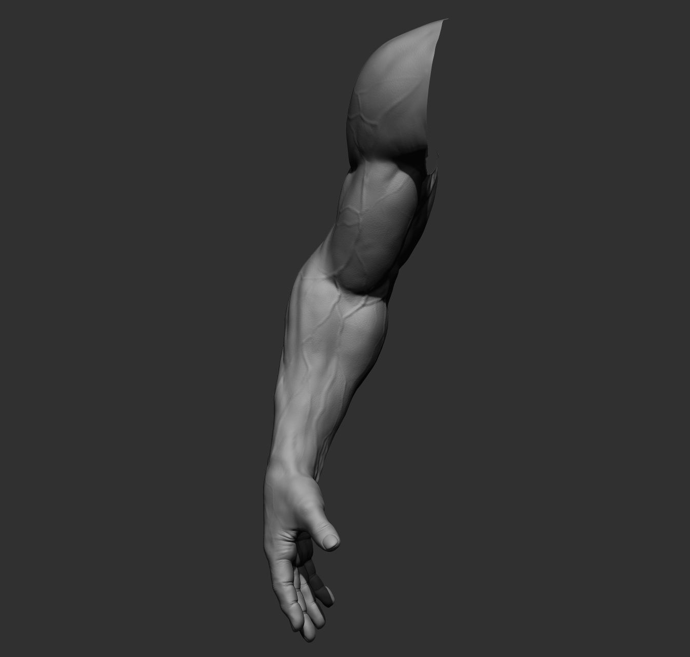 12 male arms 3D model_34