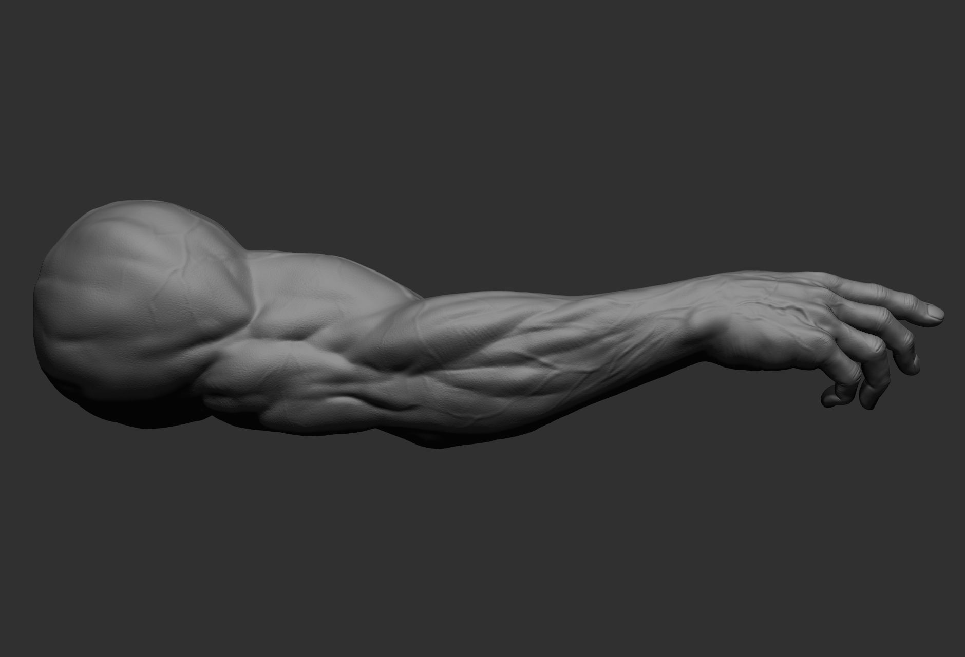 12 male arms 3D model_61