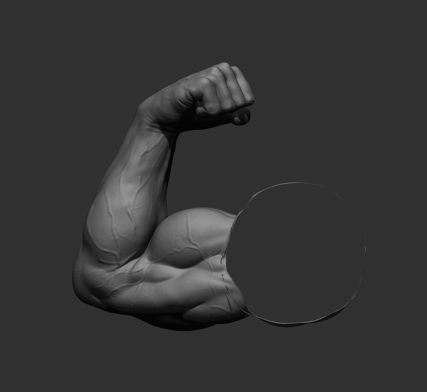 12 male arms 3D model_59