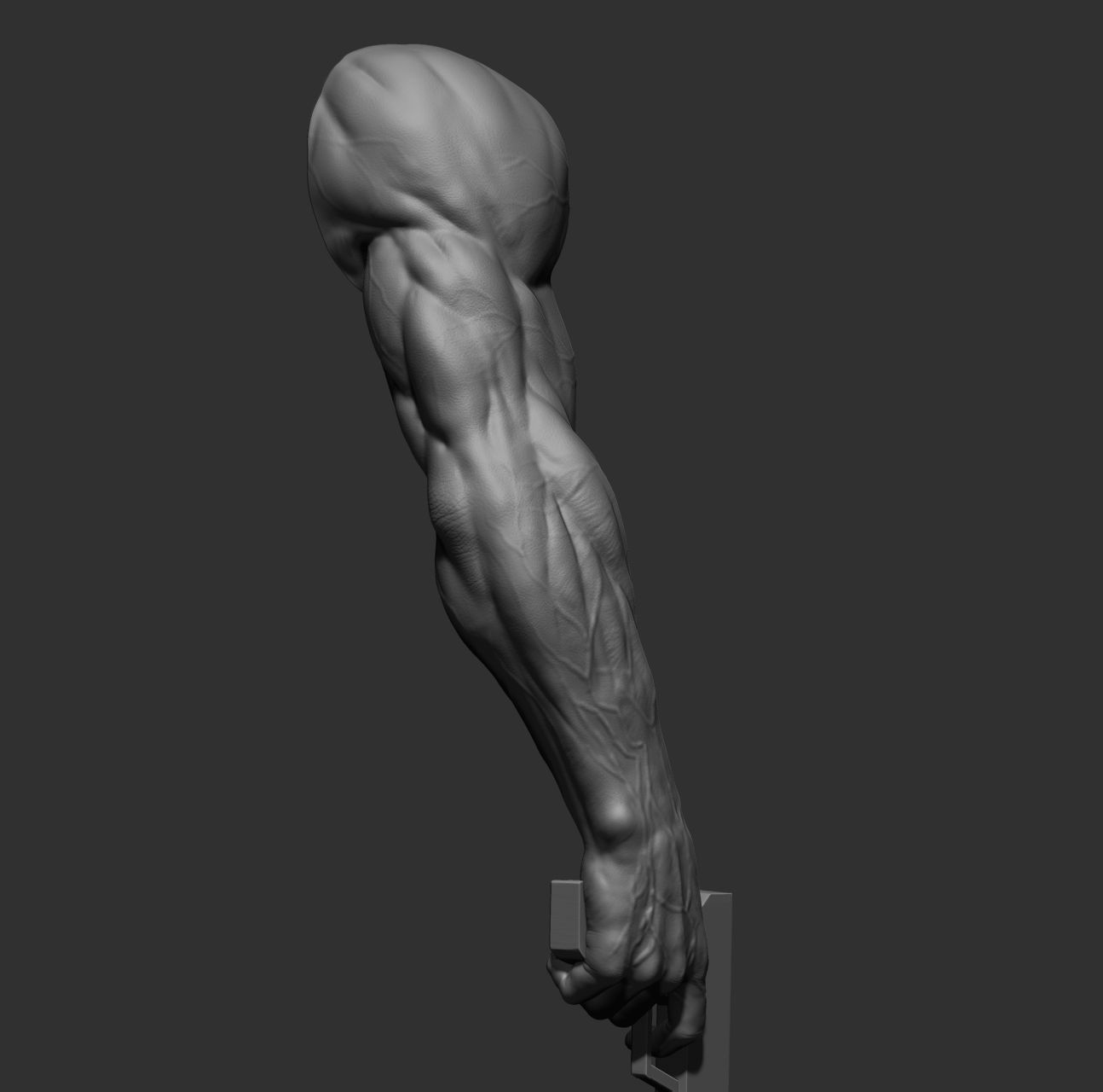 12 male arms 3D model_24