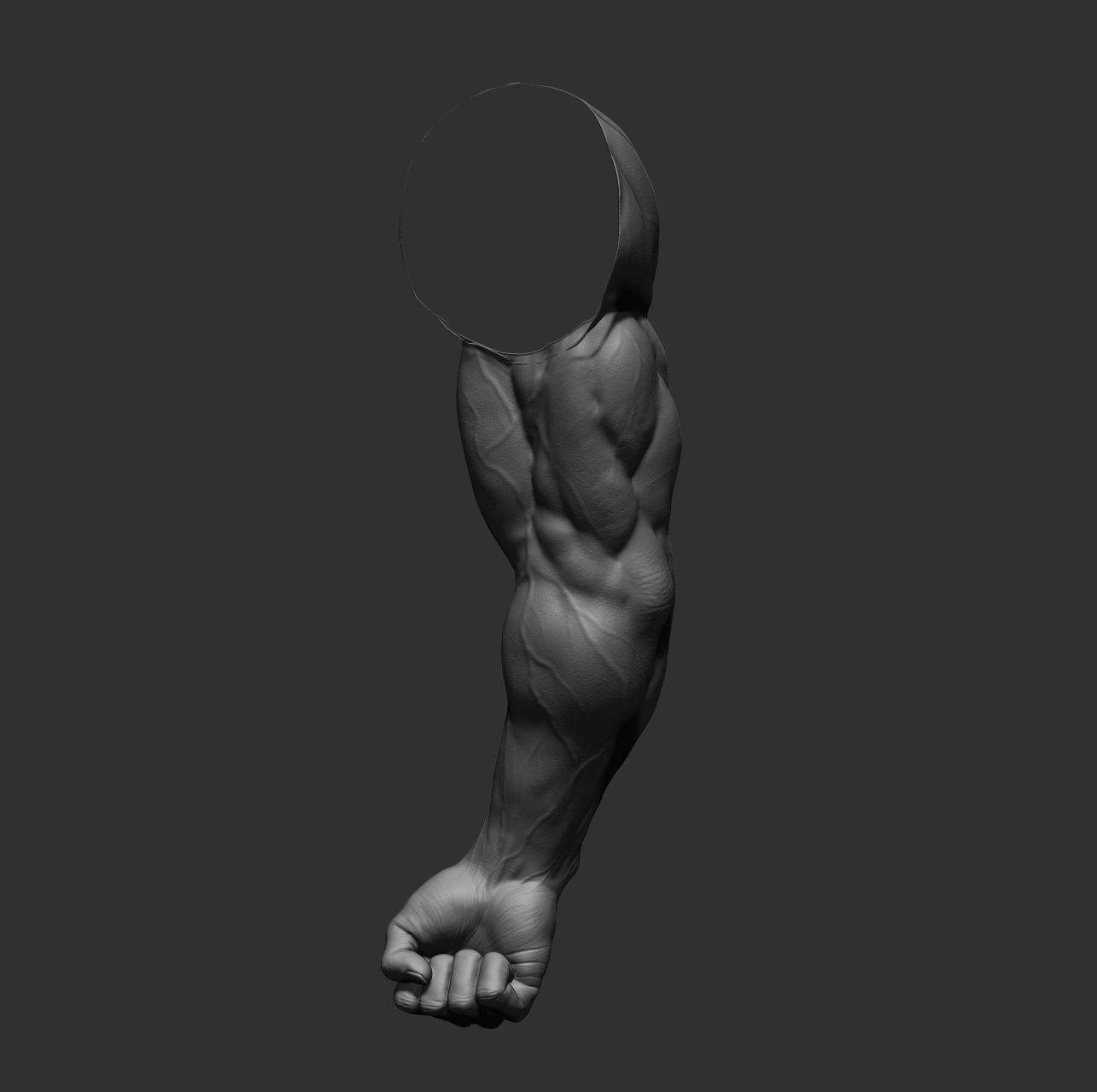 12 male arms 3D model_14