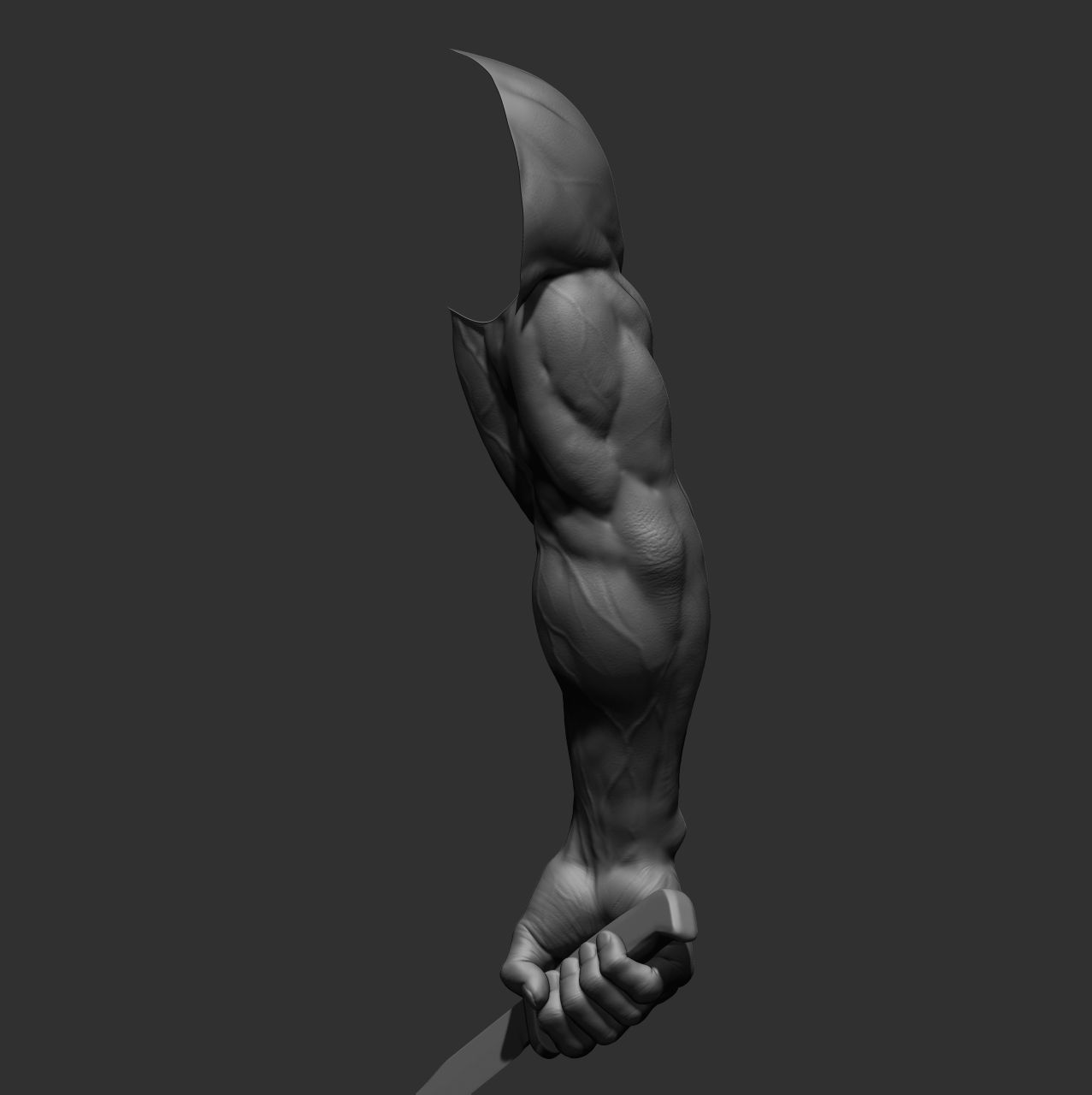 12 male arms 3D model_18