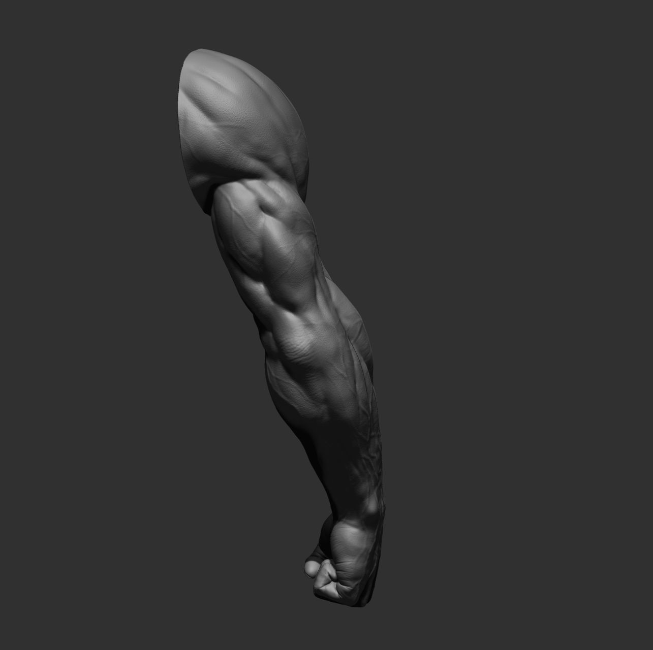 12 male arms 3D model_15