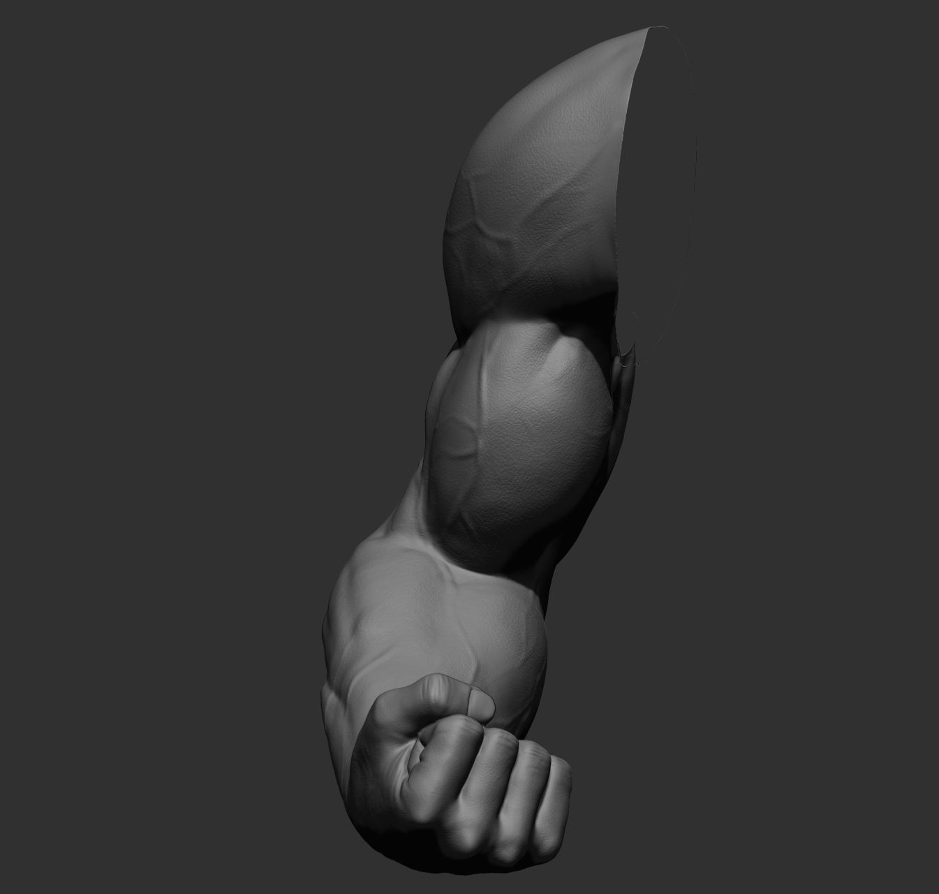 12 male arms 3D model_48