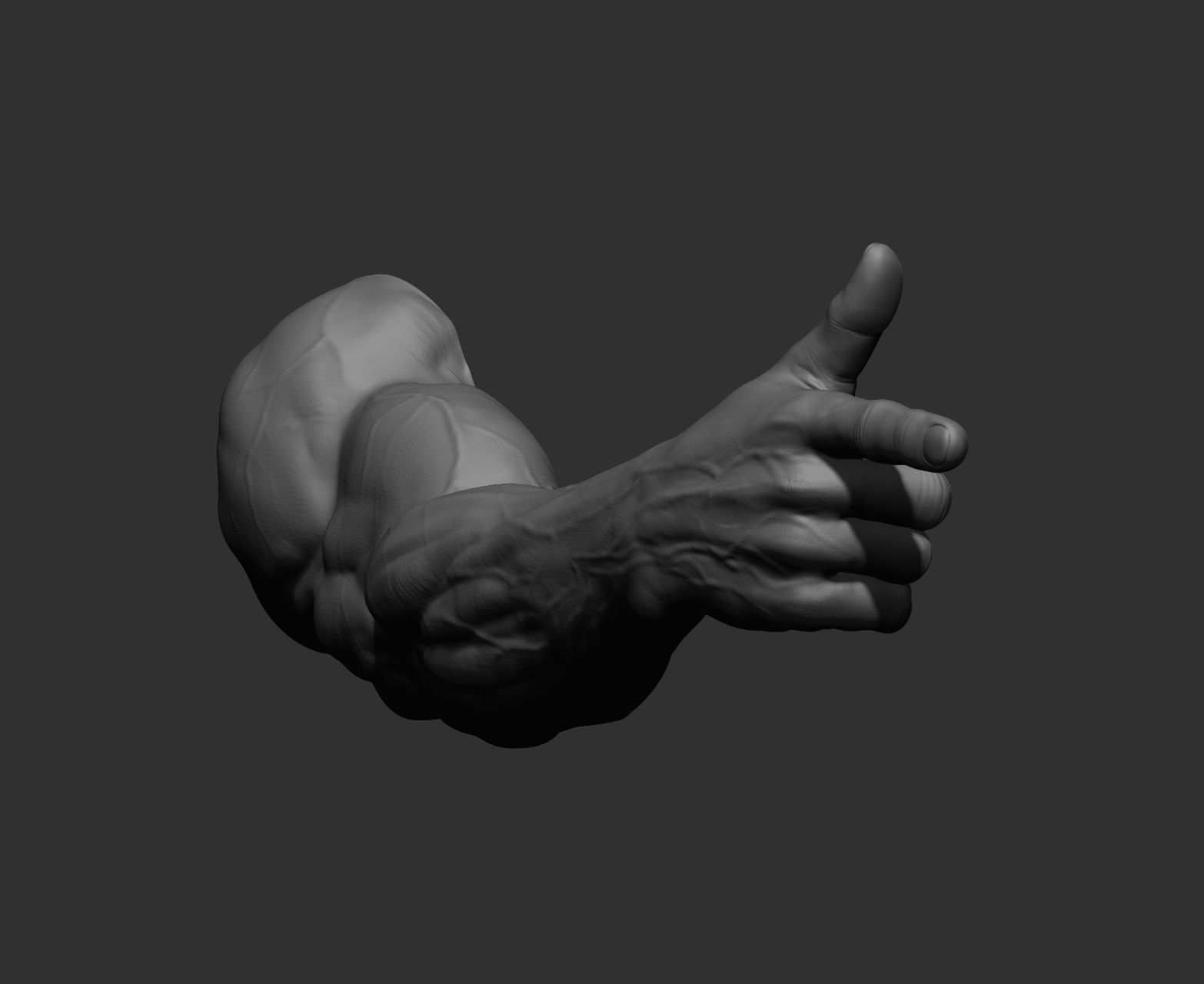 12 male arms 3D model_69
