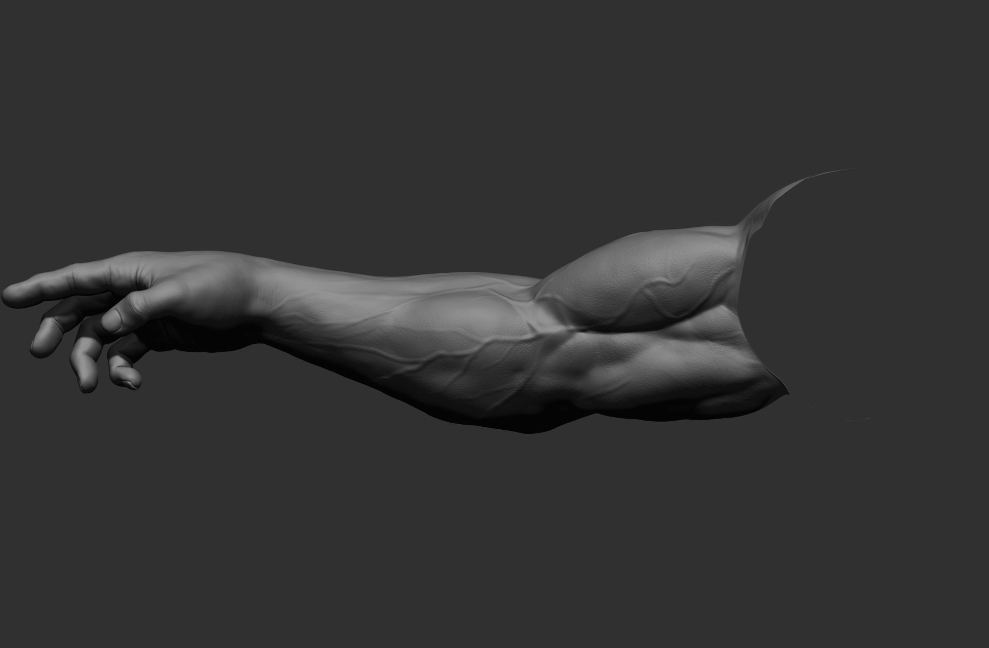 12 male arms 3D model_65