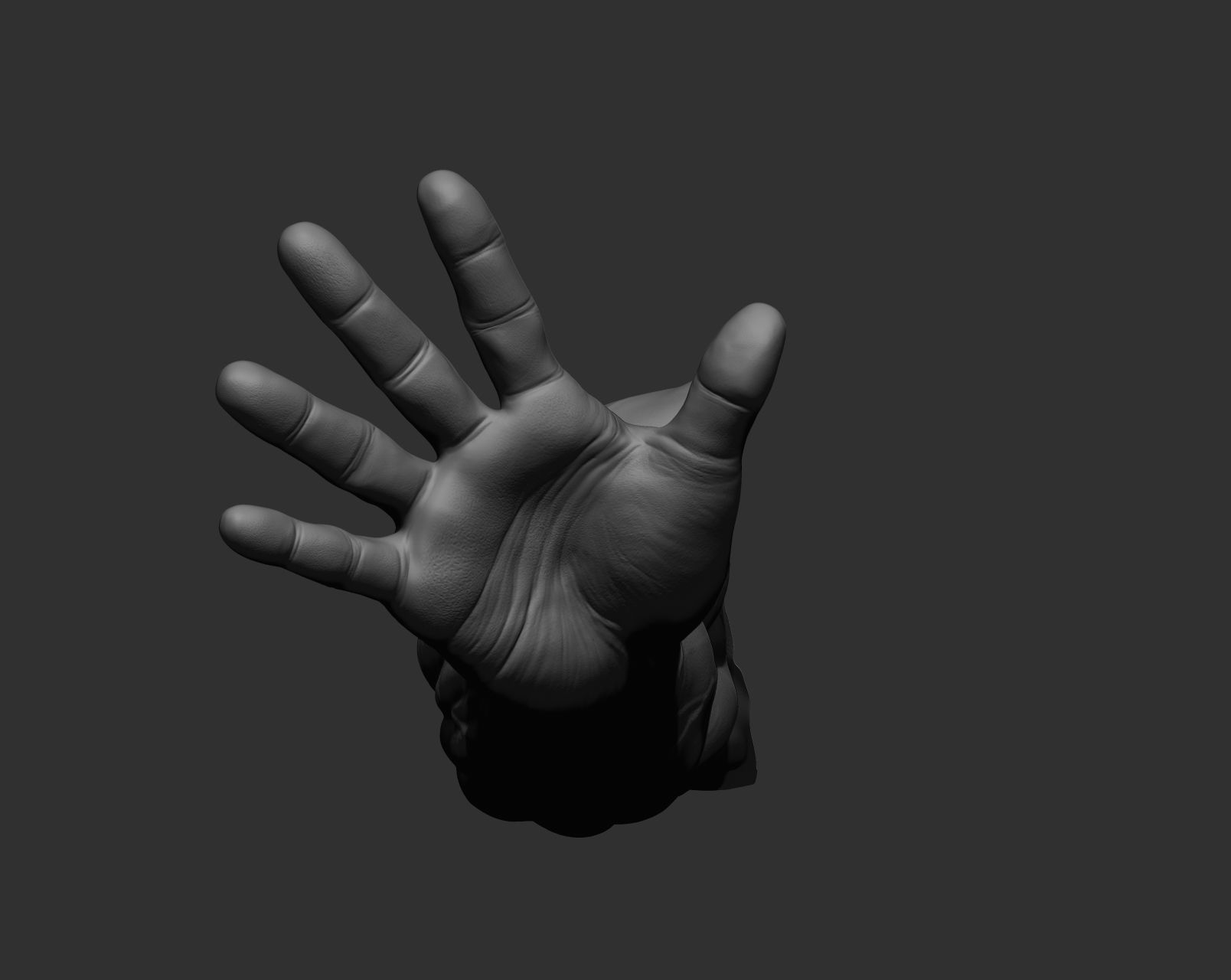 12 male arms 3D model_80