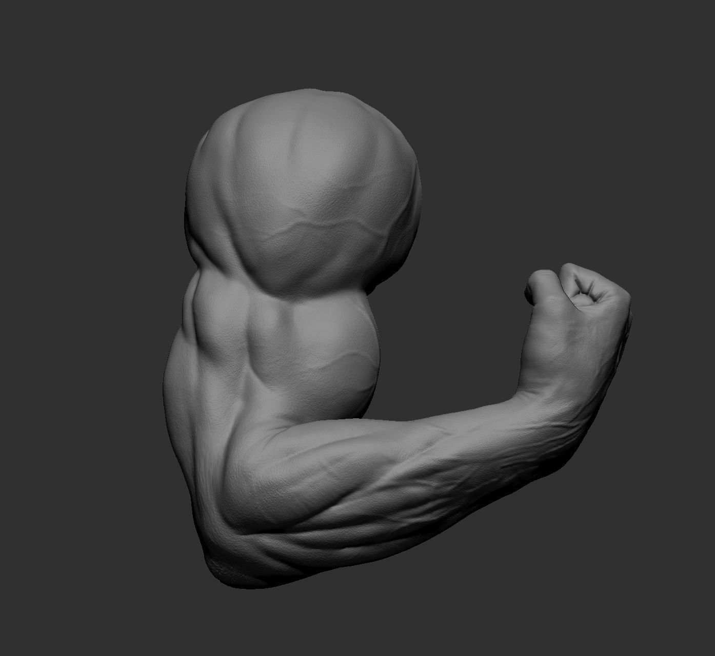 12 male arms 3D model_52