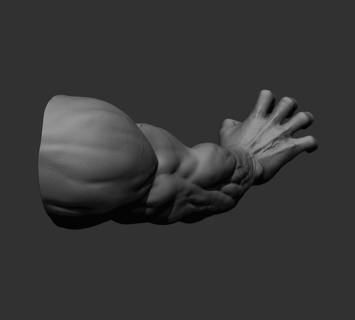 12 male arms 3D model_76