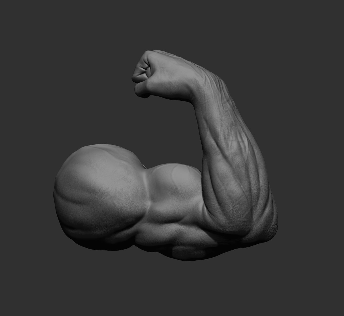 12 male arms 3D model_58