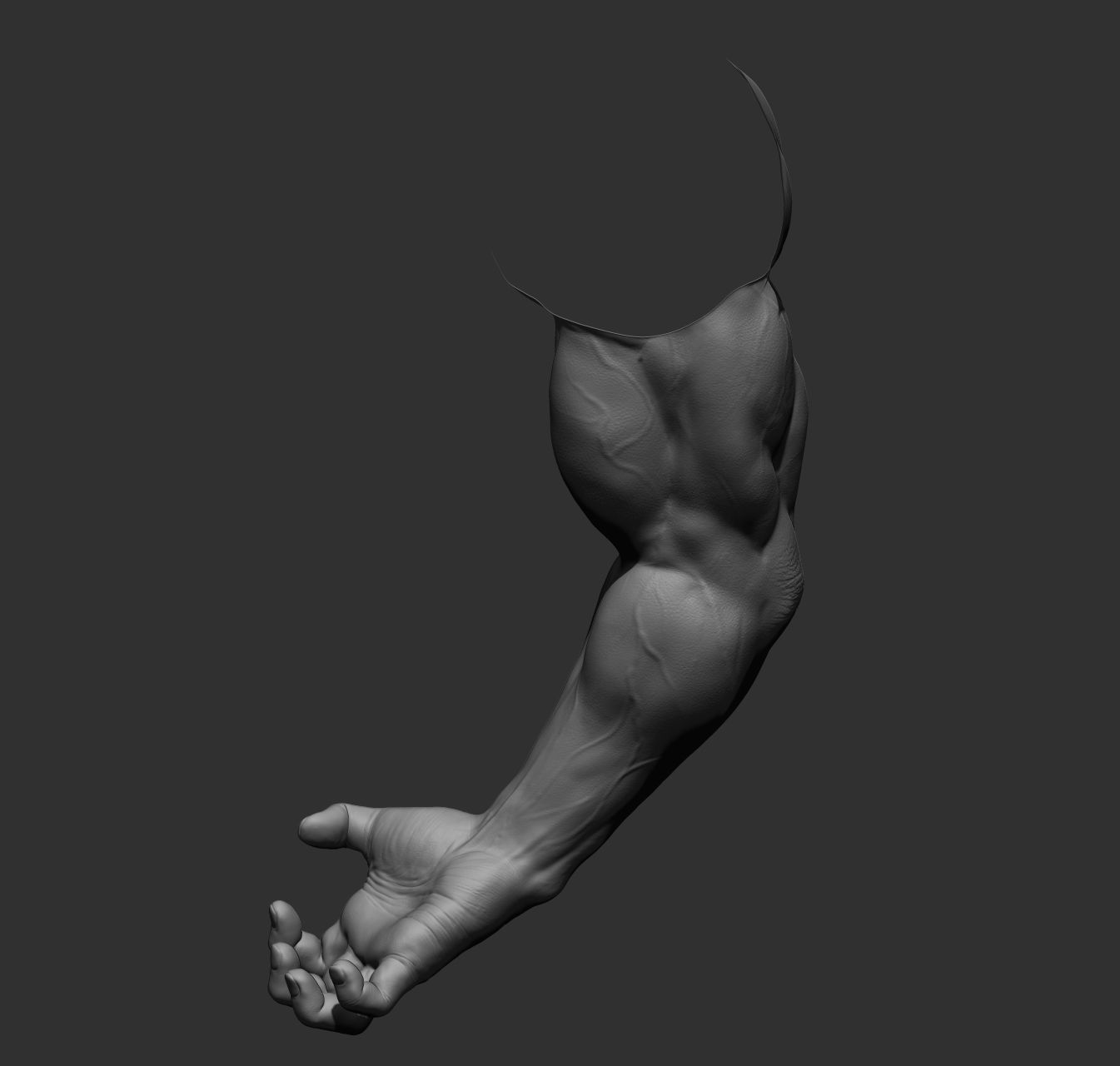 12 male arms 3D model_42