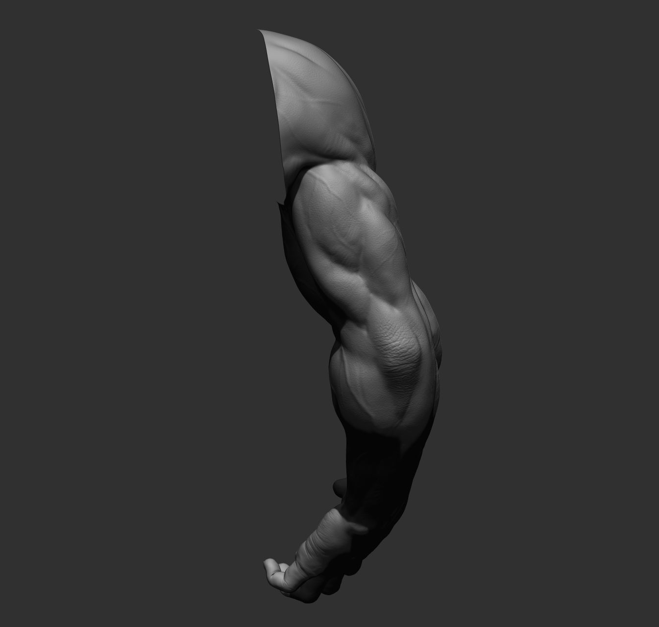 12 male arms 3D model_43