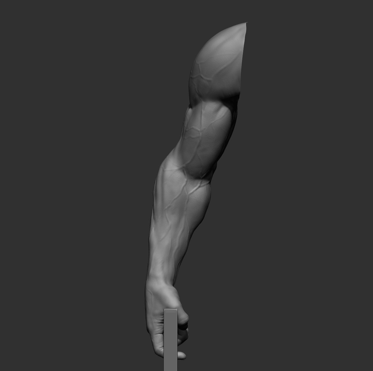 12 male arms 3D model_22