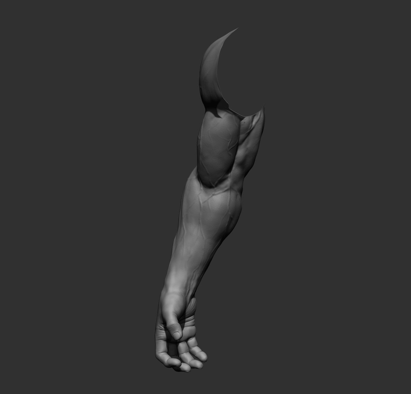 12 male arms 3D model_29
