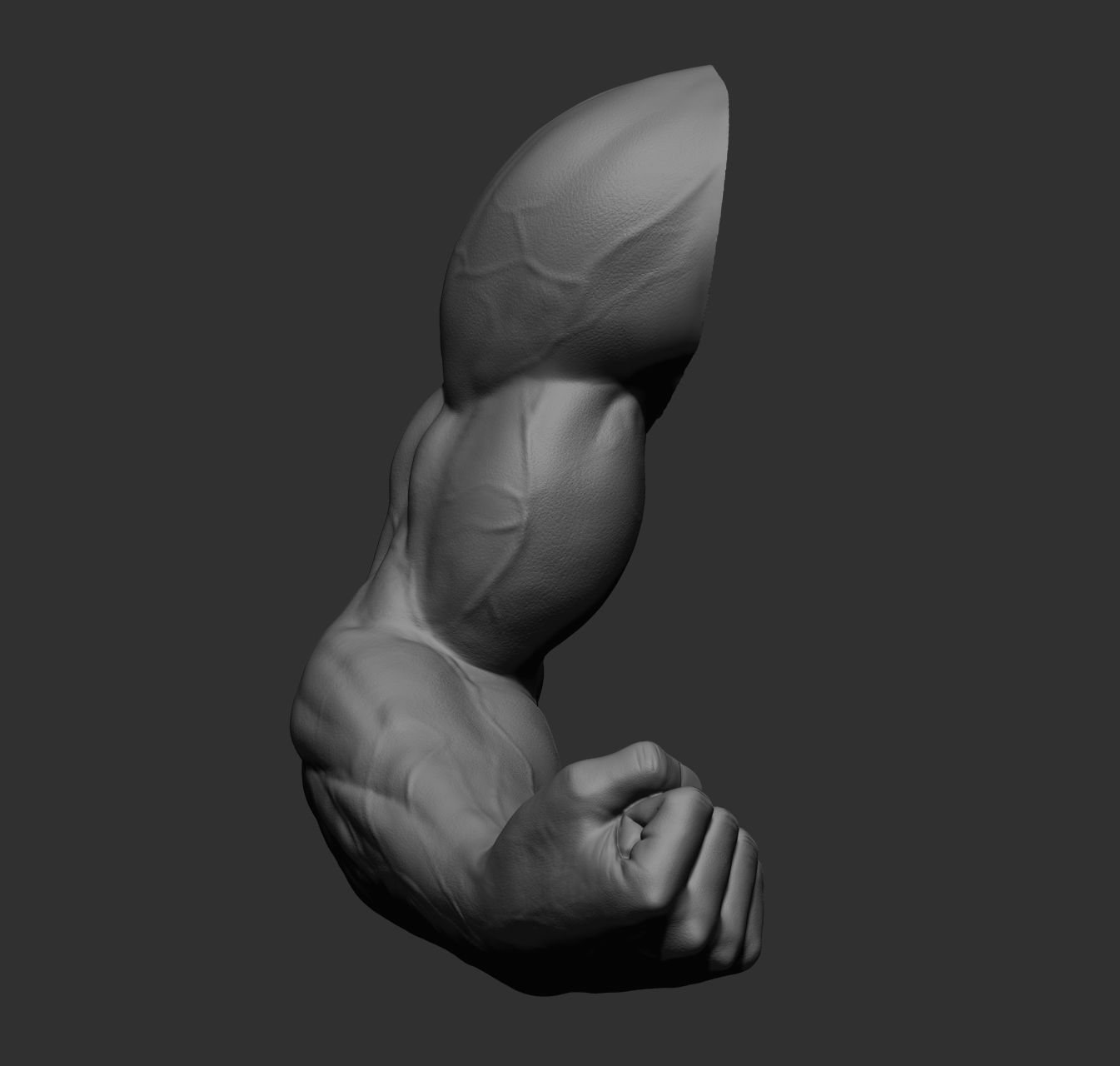 12 male arms 3D model_47