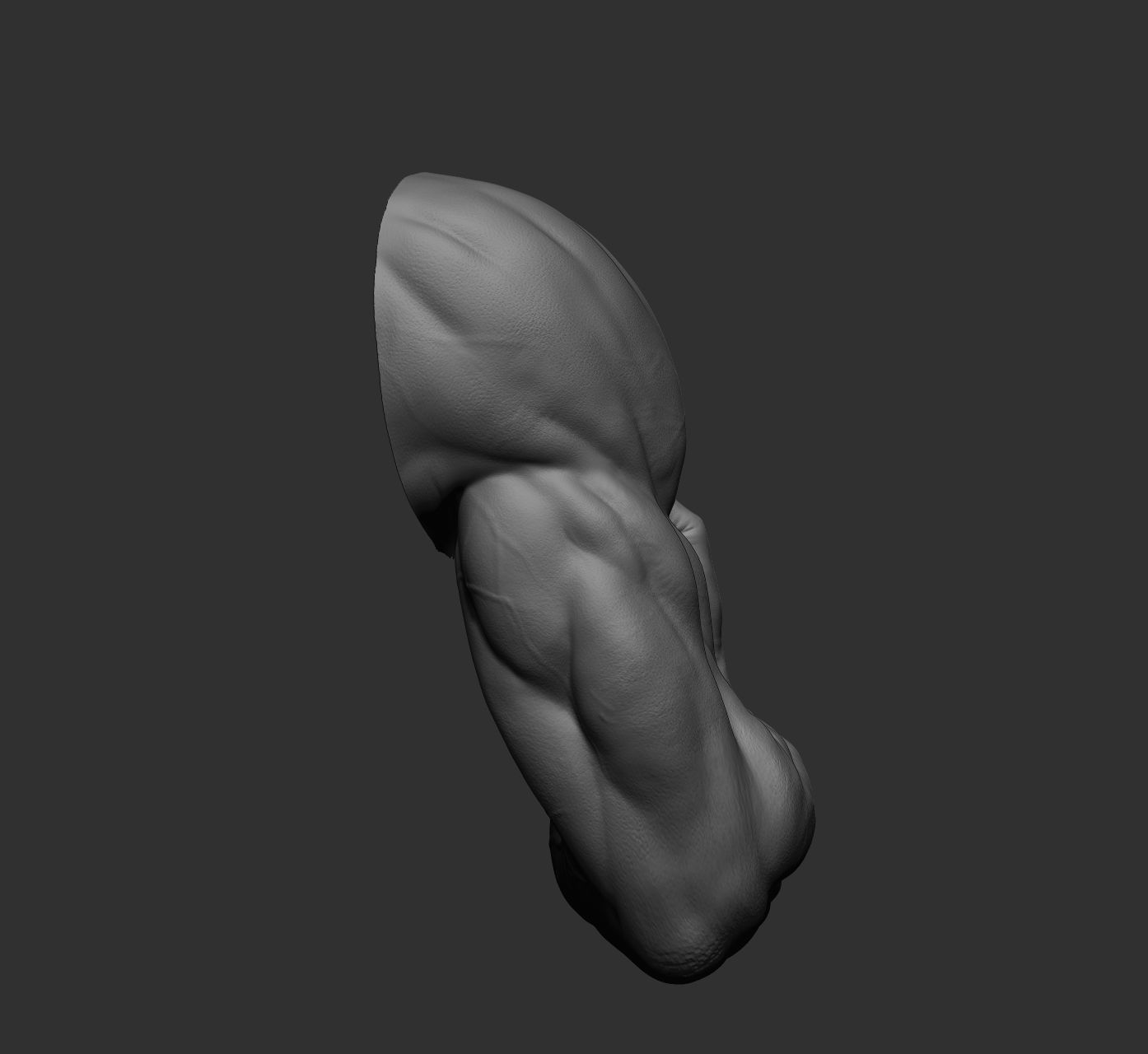 12 male arms 3D model_56