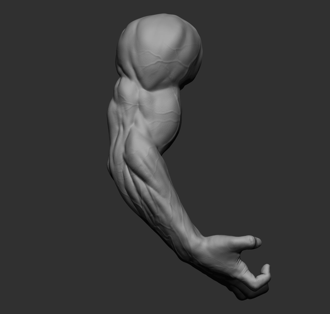 12 male arms 3D model_38