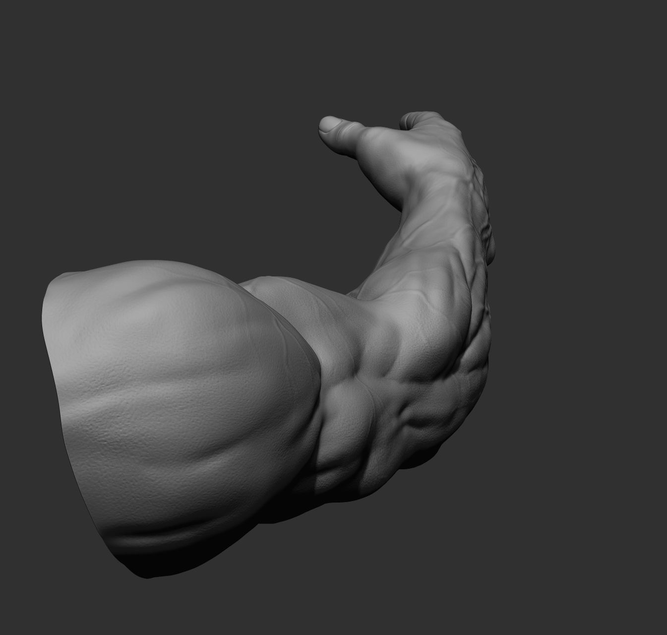 12 male arms 3D model_37