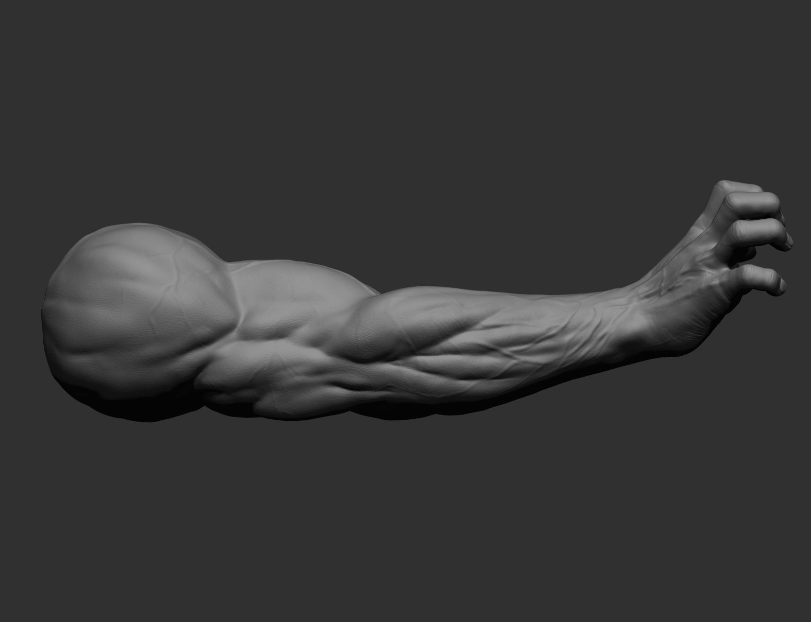 12 male arms 3D model_73