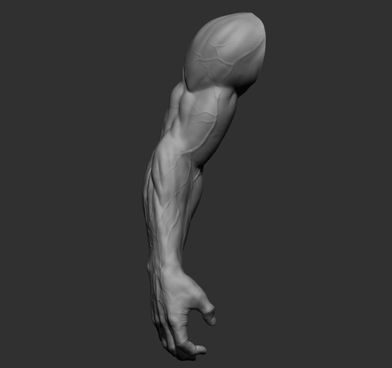 12 male arms 3D model_28