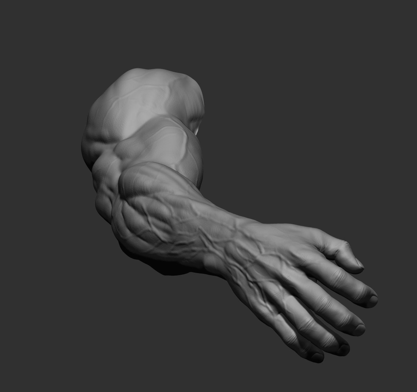 12 male arms 3D model_26