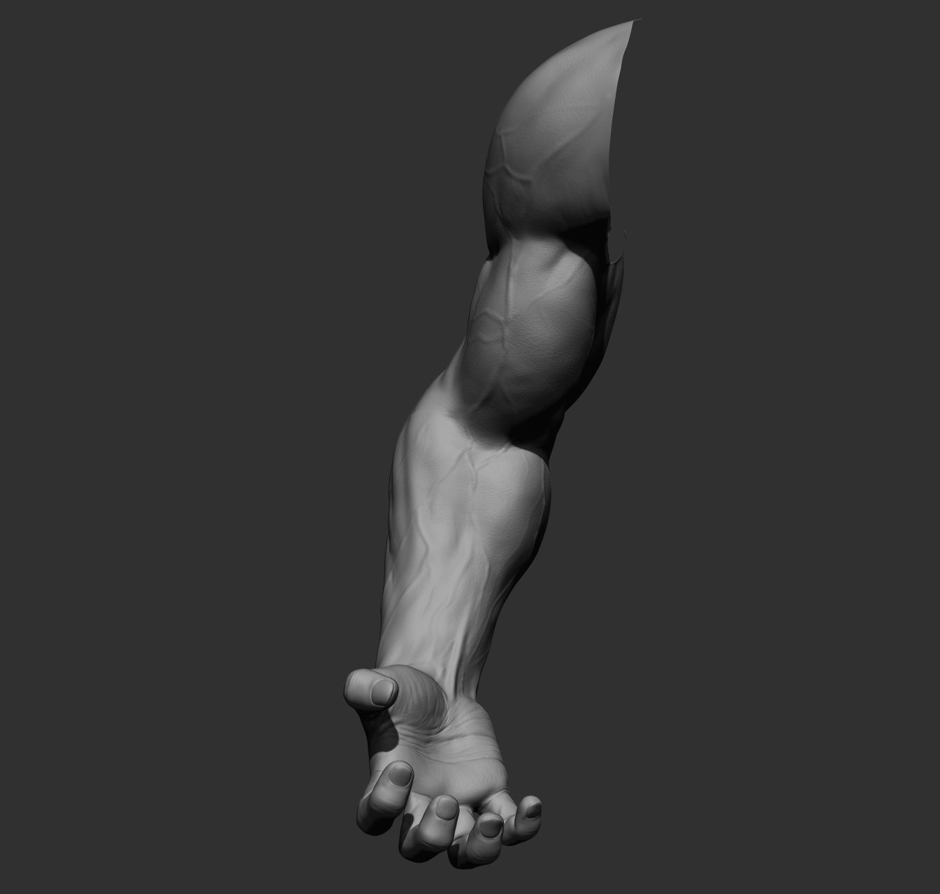 12 male arms 3D model_40