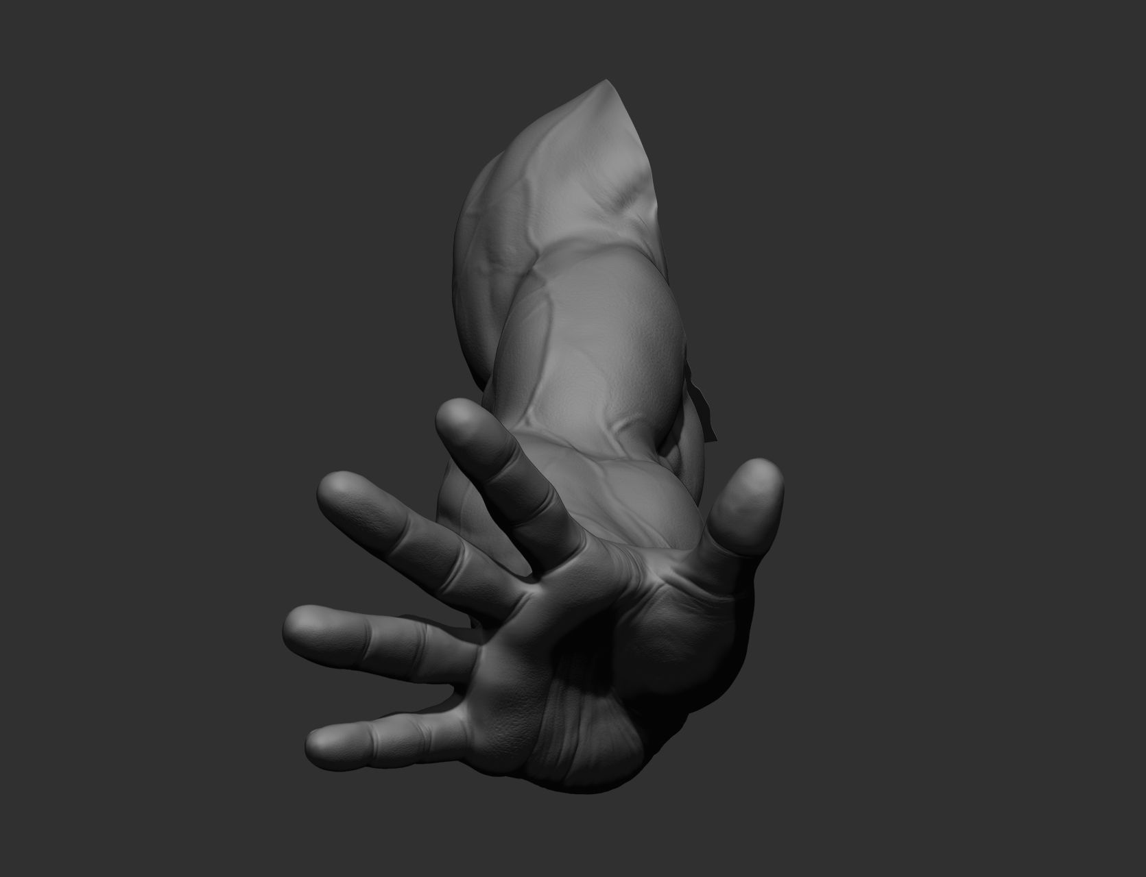 12 male arms 3D model_82