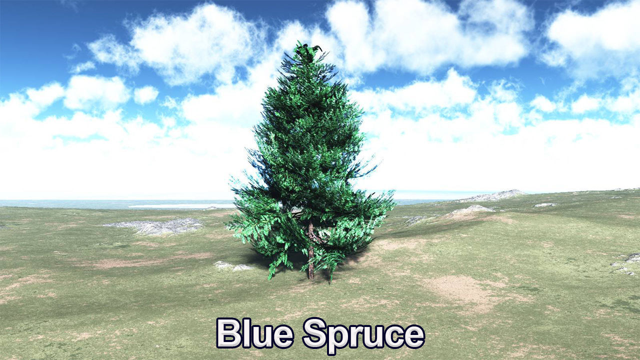 Five High Poly Trees Stellar Trees 2 3D model_4