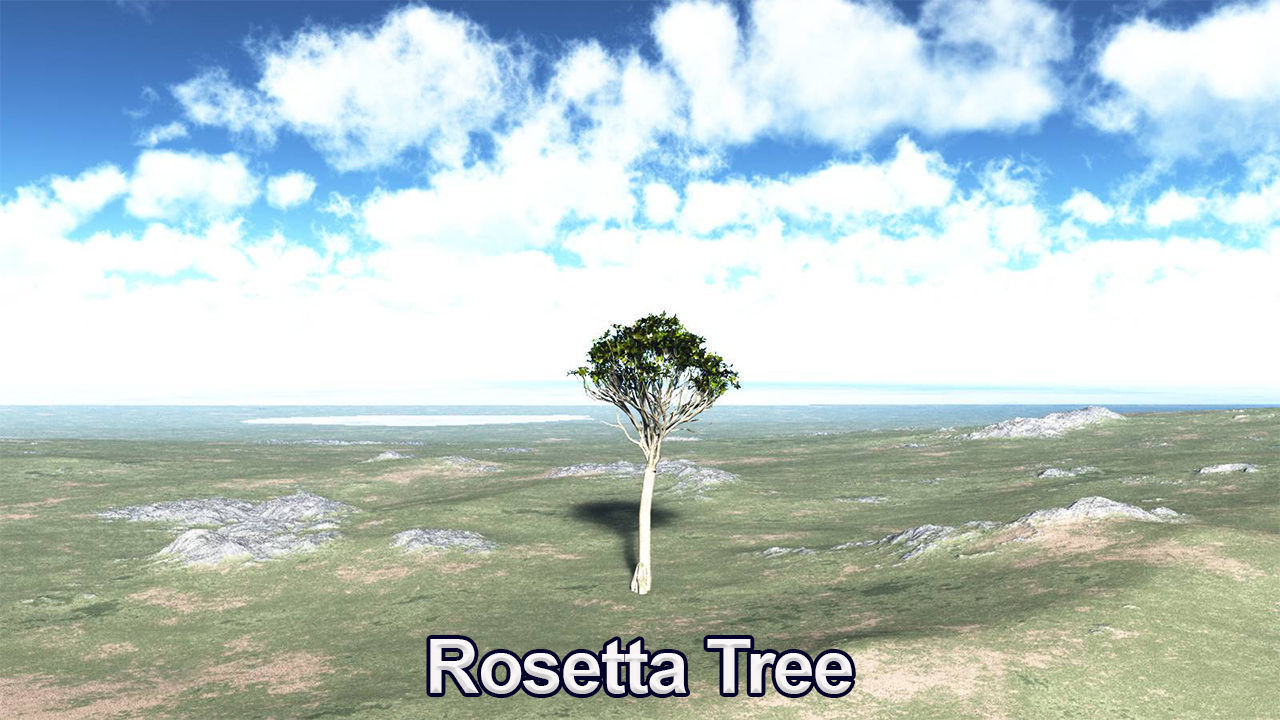 Five High Poly Trees Stellar Trees 2 3D model_5