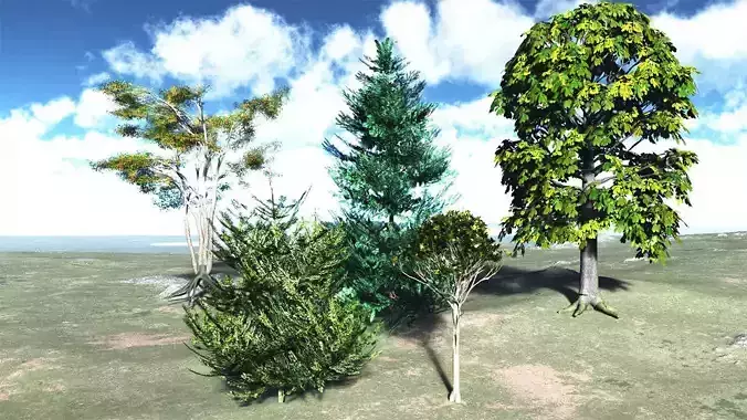 Five High Poly Trees Stellar Trees 2