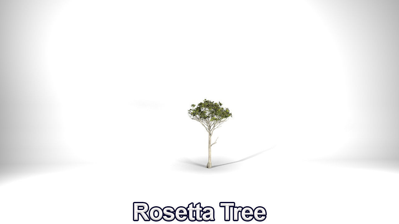 Five High Poly Trees Stellar Trees 2 3D model_10