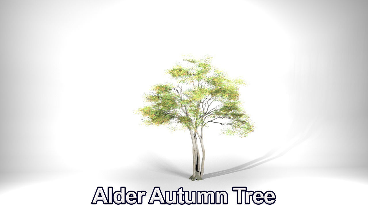 Five High Poly Trees Stellar Trees 2 3D model_8