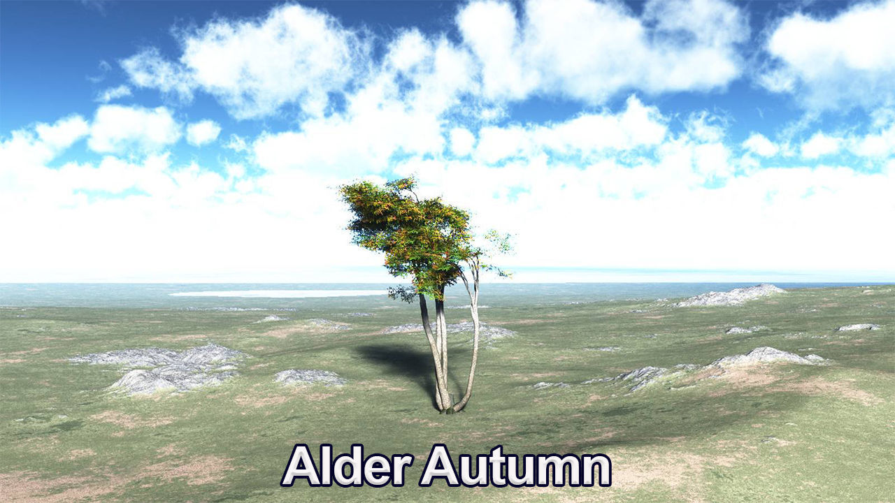 Five High Poly Trees Stellar Trees 2 3D model_3