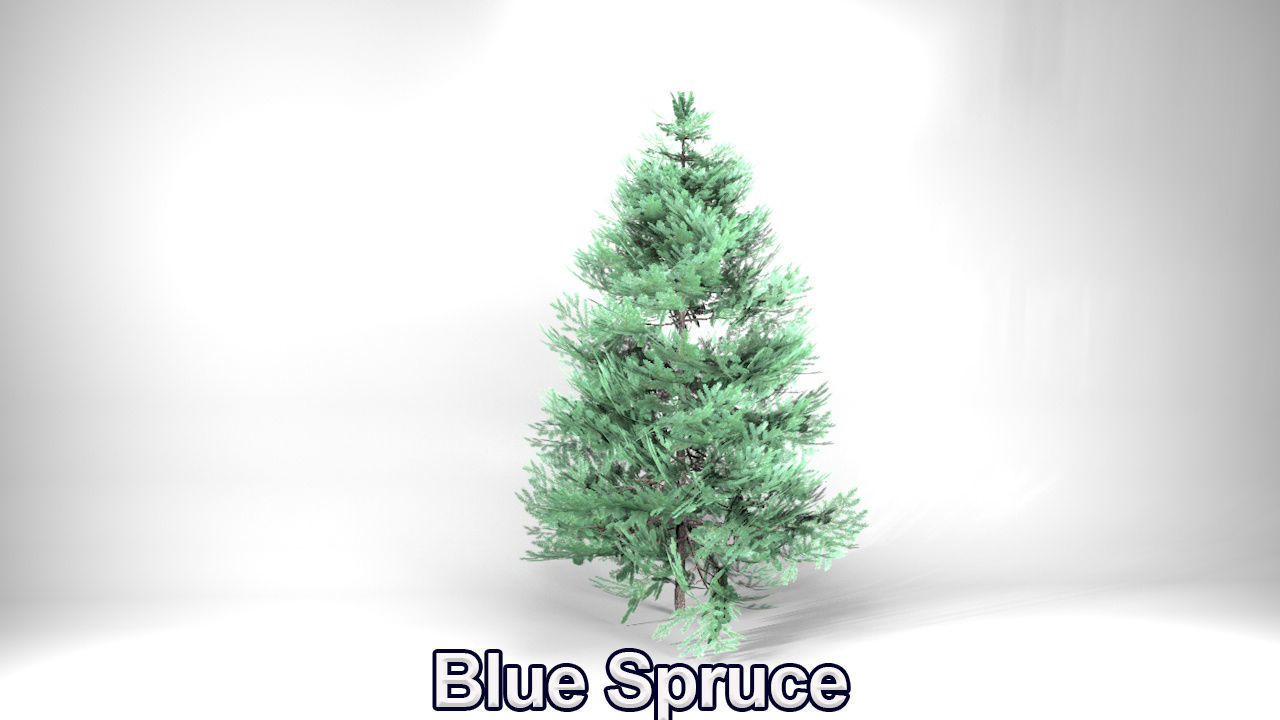 Five High Poly Trees Stellar Trees 2 3D model_9