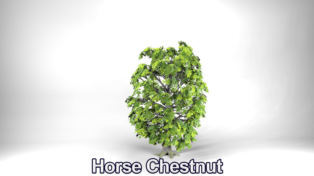 Five High Poly Trees Stellar Trees 2 3D model_6