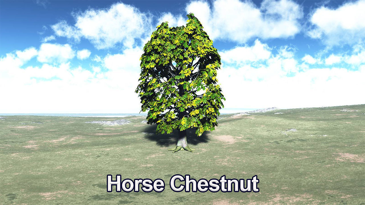 Five High Poly Trees Stellar Trees 2 3D model_1