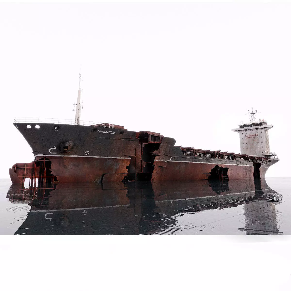 Shipwreck  Container Feeder  3D model_0