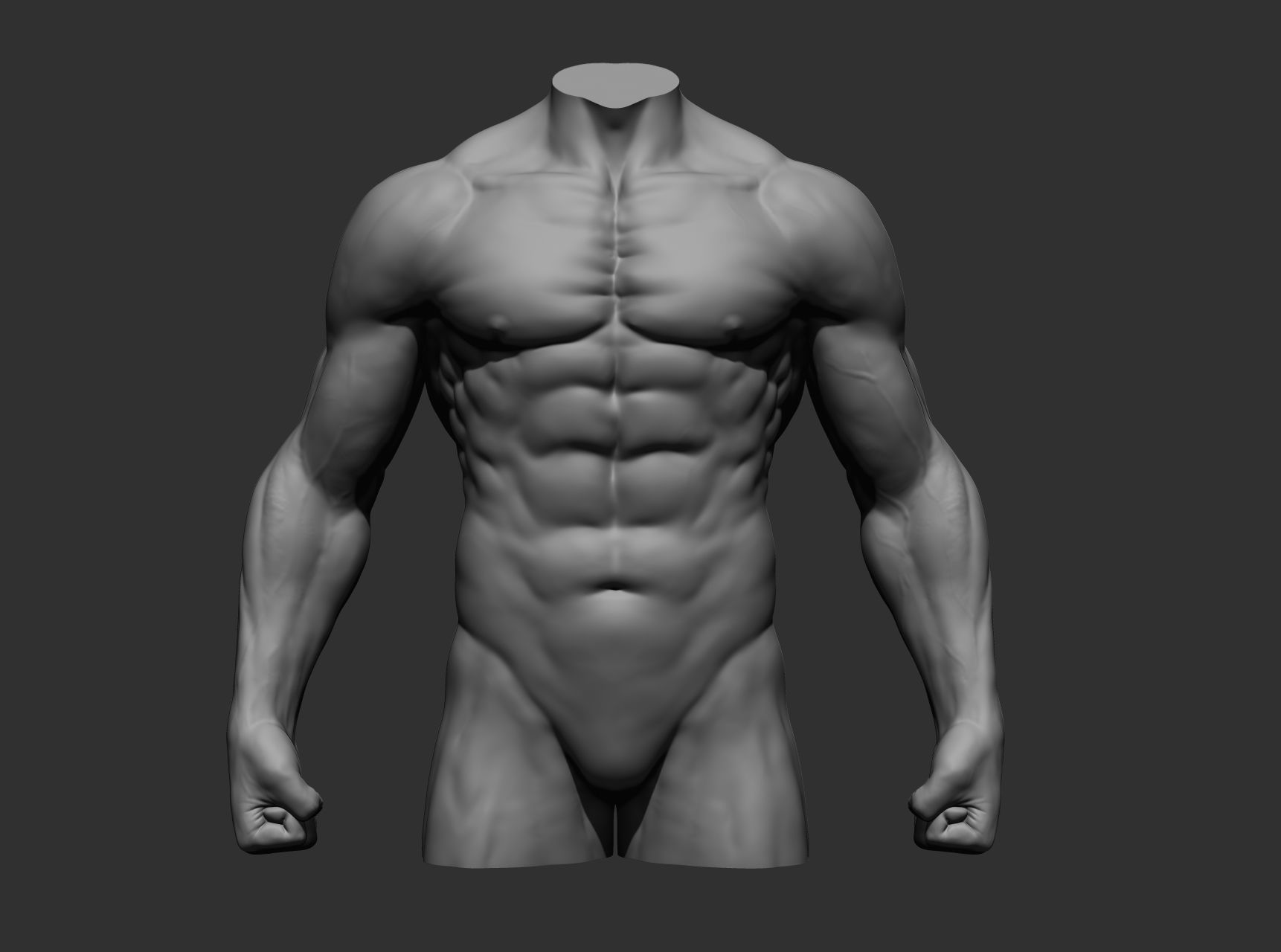 Torsos male torso Free 3D model_13